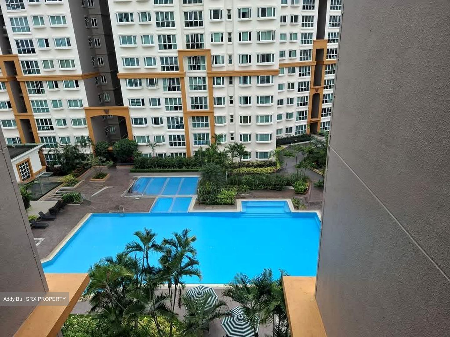 Evergreen Park (D19), Apartment #564049641